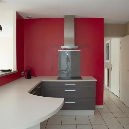Villa Avec Jardin 600m² Netflix Proche Toulouse Colomiers